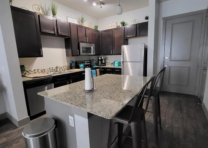 Luxurious, 1 Bedroom Near Downtown & Dickies Arena Apartment